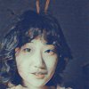Free的头像