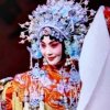 冰山雪莲的头像