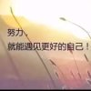 执着的爱的头像