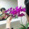 玉芹的头像