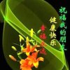 雄霸天下的头像