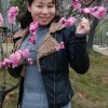 艾草的头像