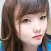 你是我不期而遇的爱《爱声乐》的头像
