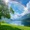 尚武跆拳道15090216770的头像