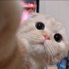 远方的头像