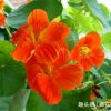 幸福一生《十条以上回访》的头像