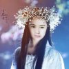小龙女的头像