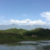 静若繁花的头像