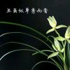 清风的头像