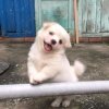 长至二八的头像