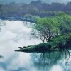 陌然浅笑的头像