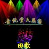 田歌的头像