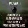 失败～是～成功～之母的头像