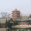 的头像
