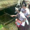 今声音你的头像