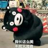 阳光的头像