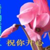 老叶的头像