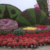 随心的头像