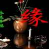 错爱的头像