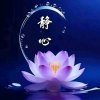 爱在星系的头像