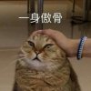 金吒木吒小哪吒的头像