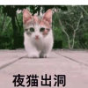 老坛酸菜的头像