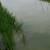 LUHengJun的头像