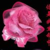 忍一时风平浪静的头像
