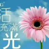 理解万岁的头像