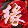 葬爱的头像