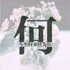 兰兰的头像
