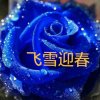 韵律原创飞雪迎春的头像