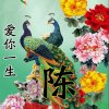 宣和麻将机(拒币，纯属娱乐开心就好)的头像