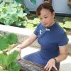 向日葵的头像