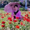 铭昕的头像