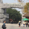 观焰者的头像