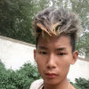 白艳青的头像