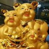 吉祥的头像