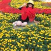 郑翠芝的头像