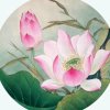 陶醉的头像