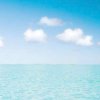 海阔天空的头像