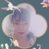 杨家豪门小杨《拒币》的头像