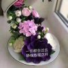 枫叶的头像