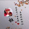 红星$红杜鹃$（大号，)的头像