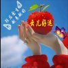 云依然的头像