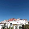 梅子的头像