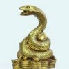 金蛇的头像