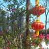 小甜甜的头像