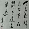 虫子的头像