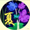 夏青的头像